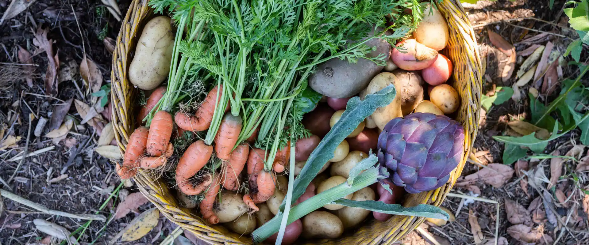 photo of BAM Community Day