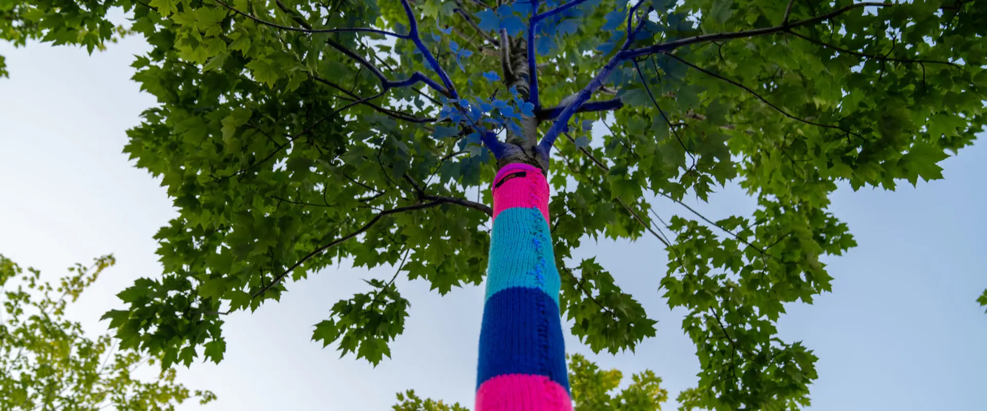 photo of Community voices, intertwining colors in BAM
