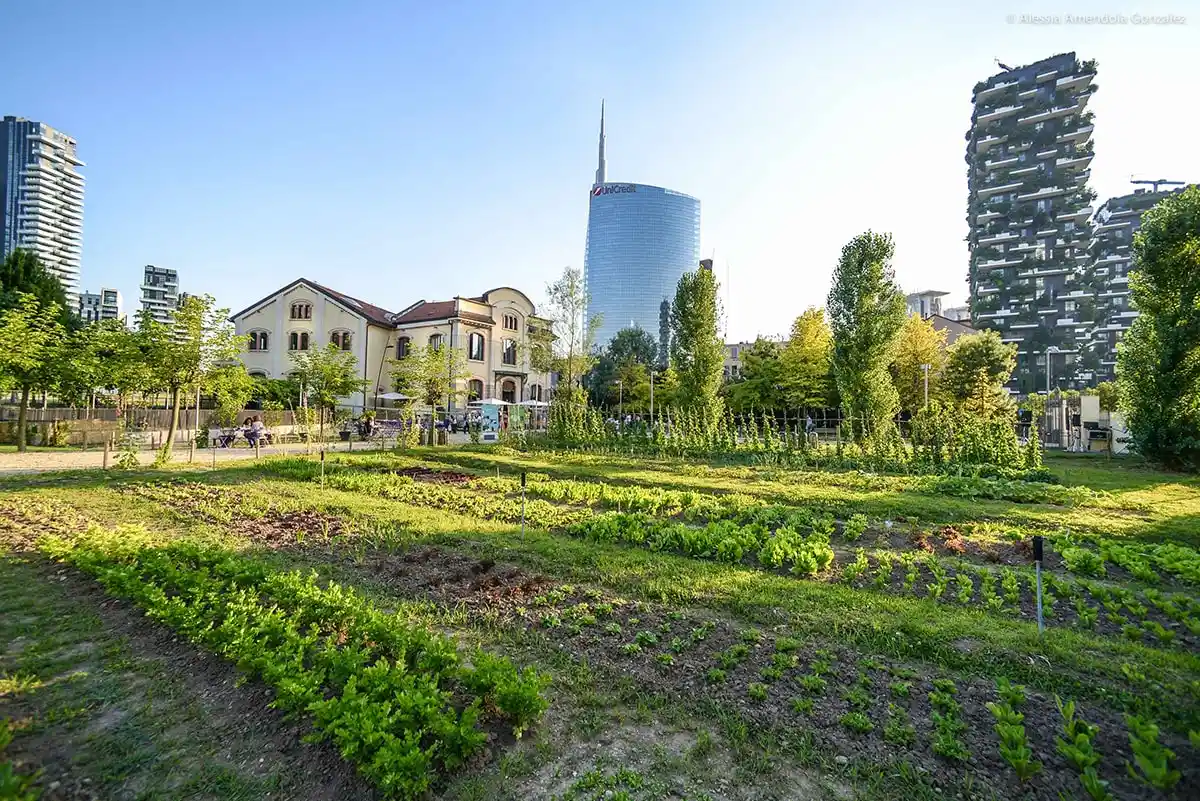 Fondazione Riccardo Catella 2
