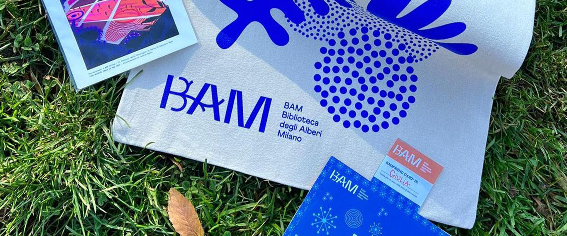 photo of This Christmas give the BAMFRIEND card and discover all the benefits