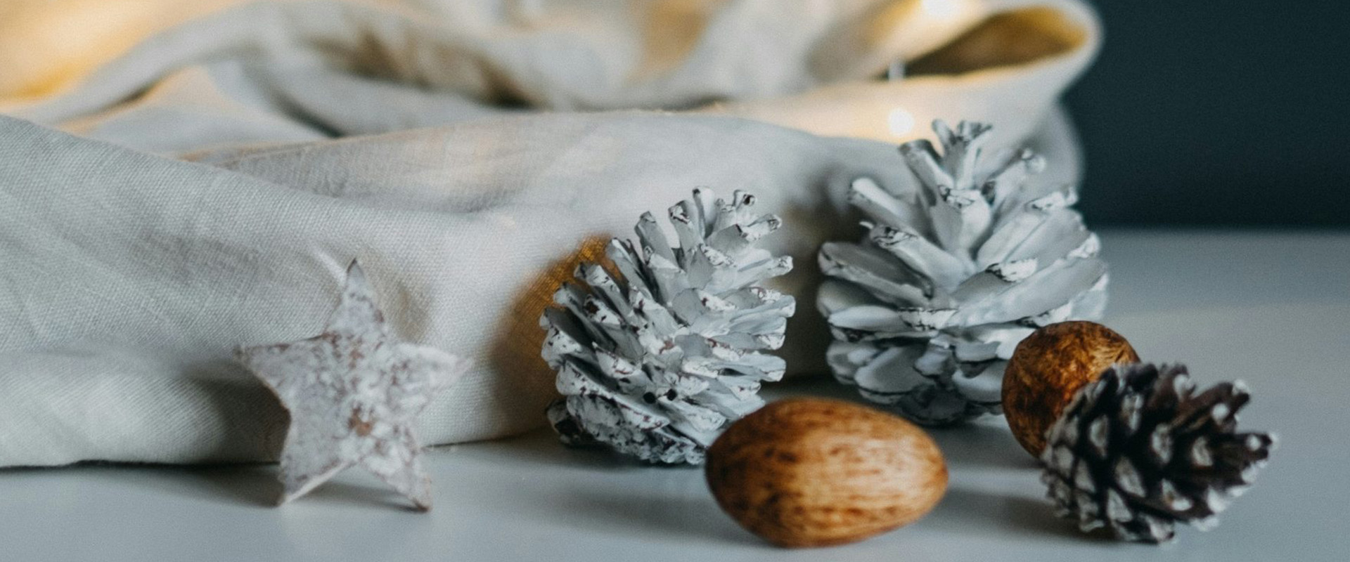 photo of BAM Workshop KIDS and Adults: Discard the leaf