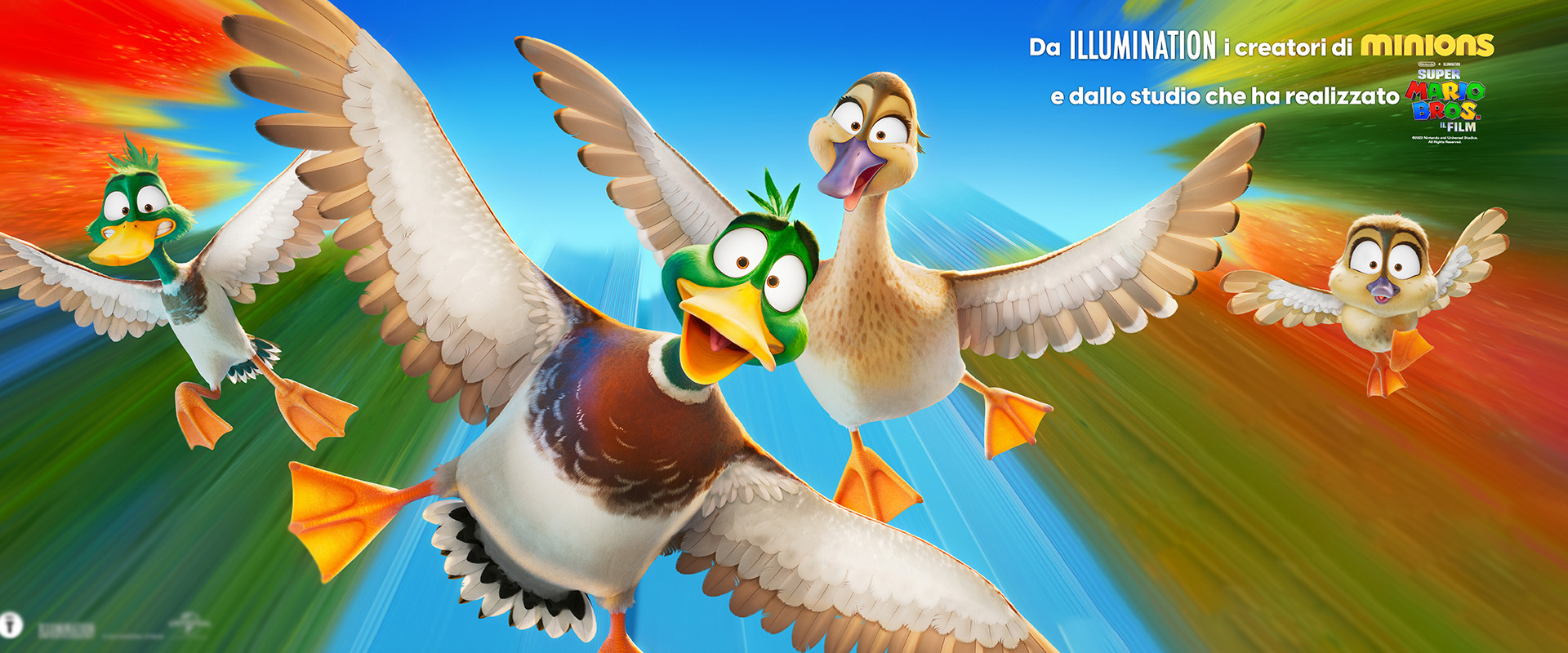 photo of Migration flies to Portanuova