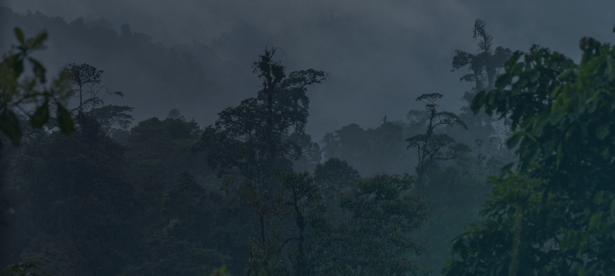 photo of At gOOOders a big event for the environment