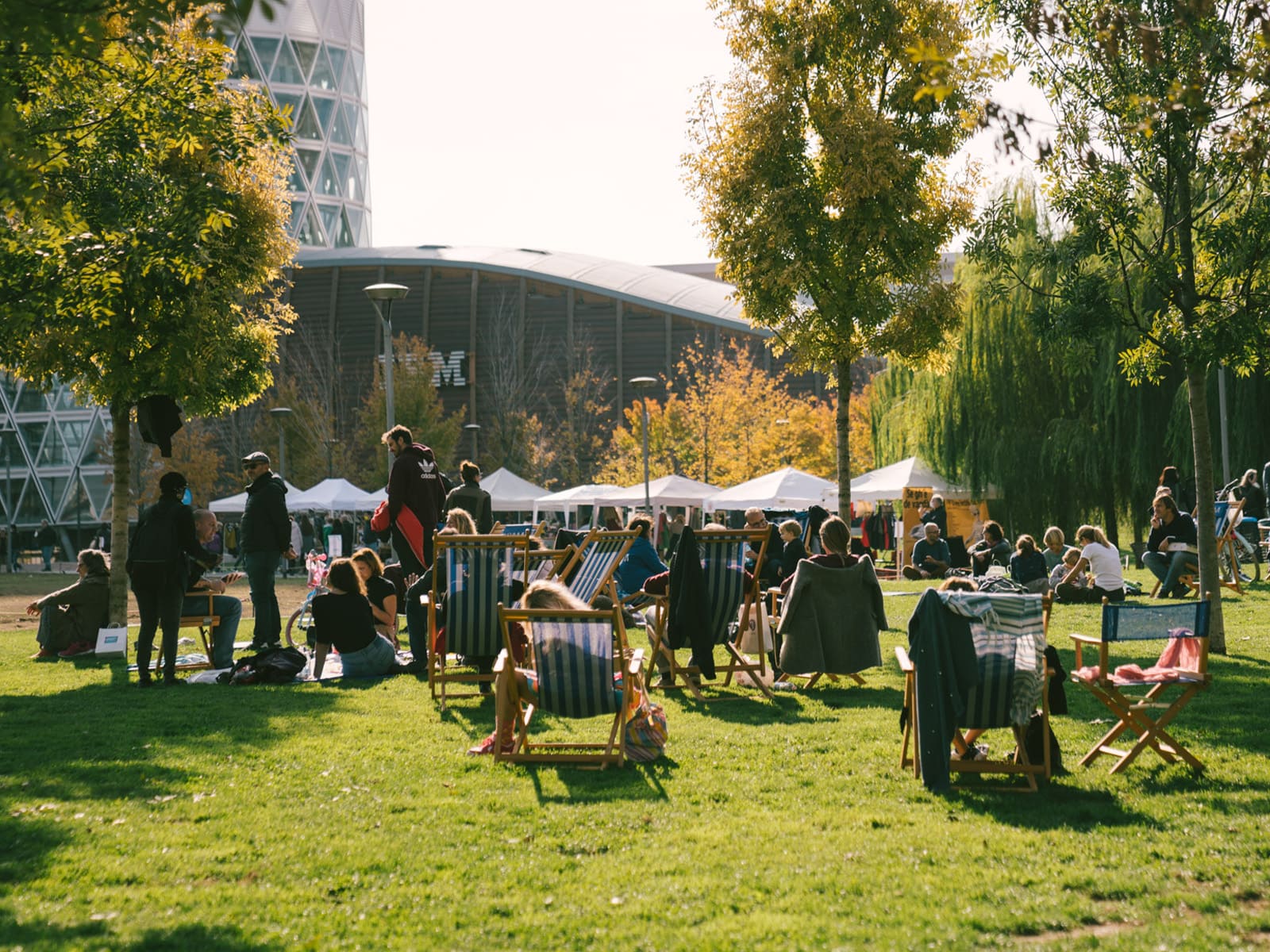 photo of BAM the Park becomes an Island