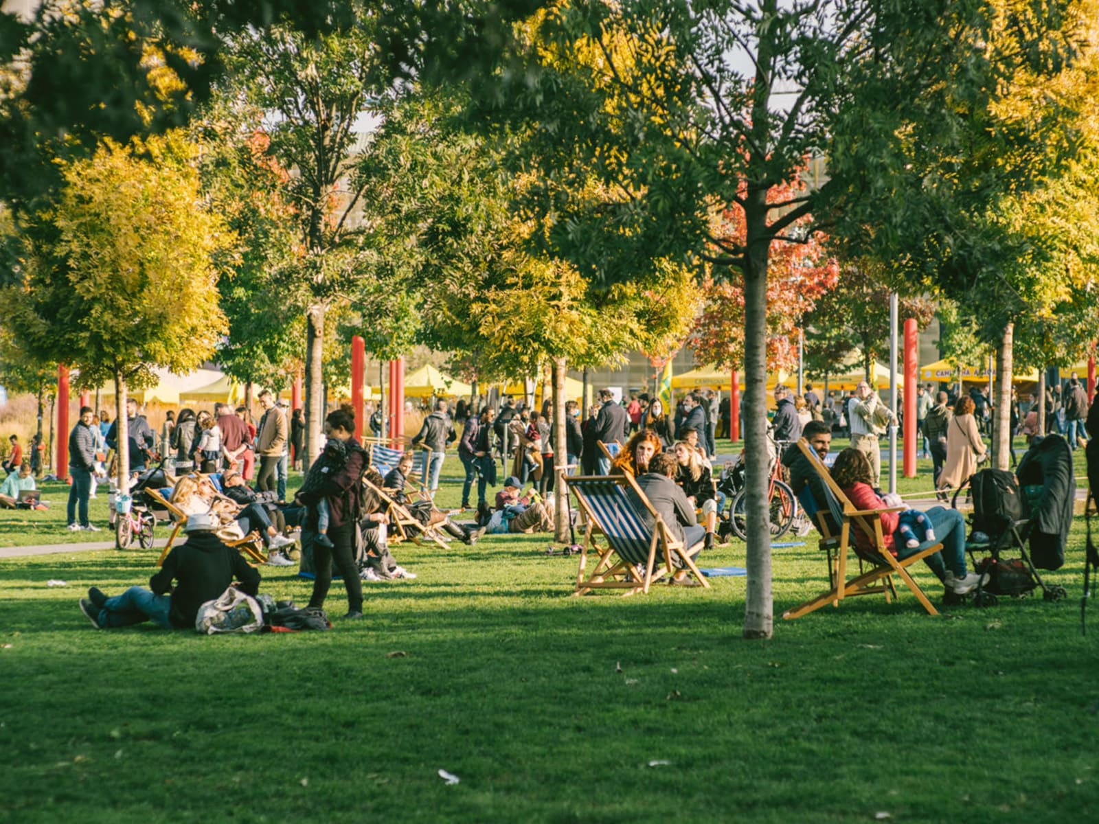 photo of BAM meets XTONE