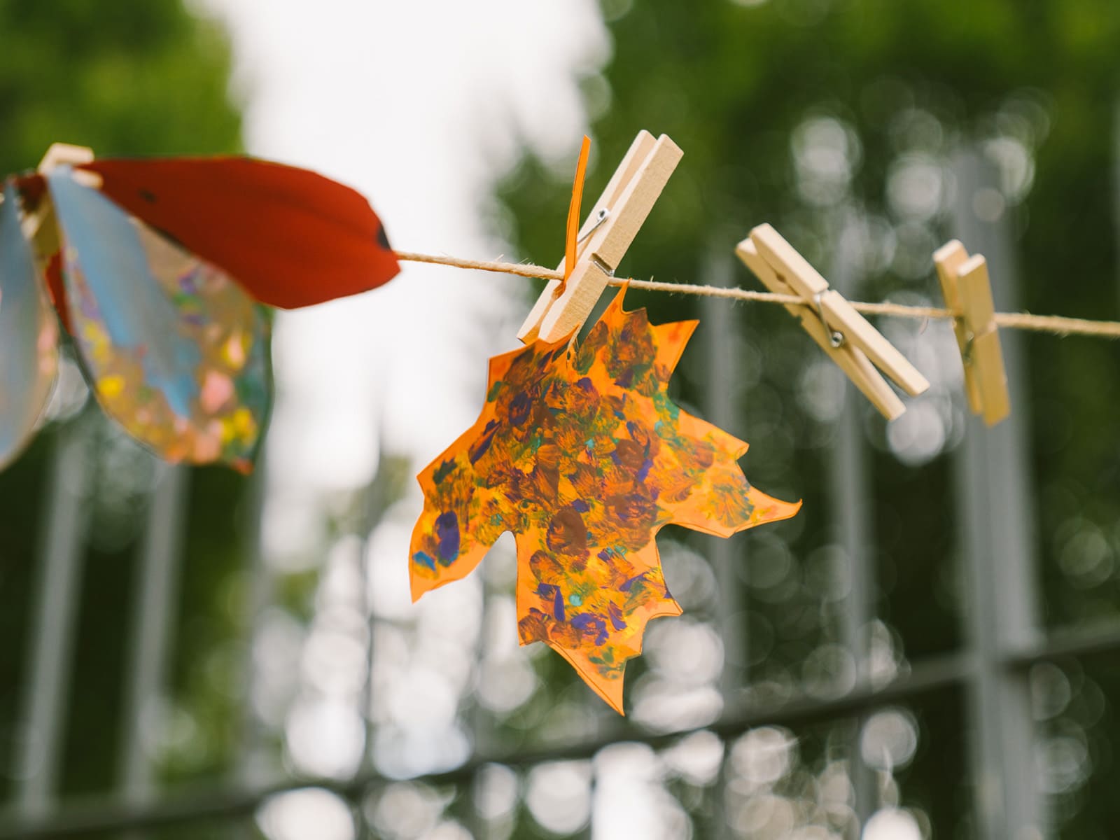 photo of BAM Season Day: Welcome Autumn!