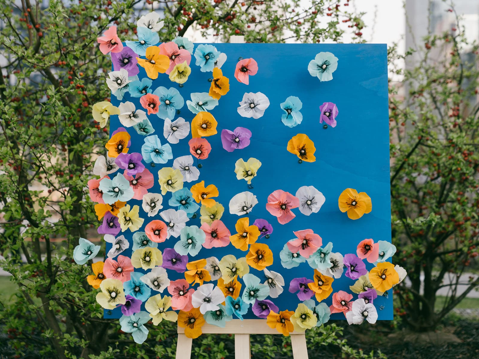 photo of BAM Season Day: Arriva la Primavera!