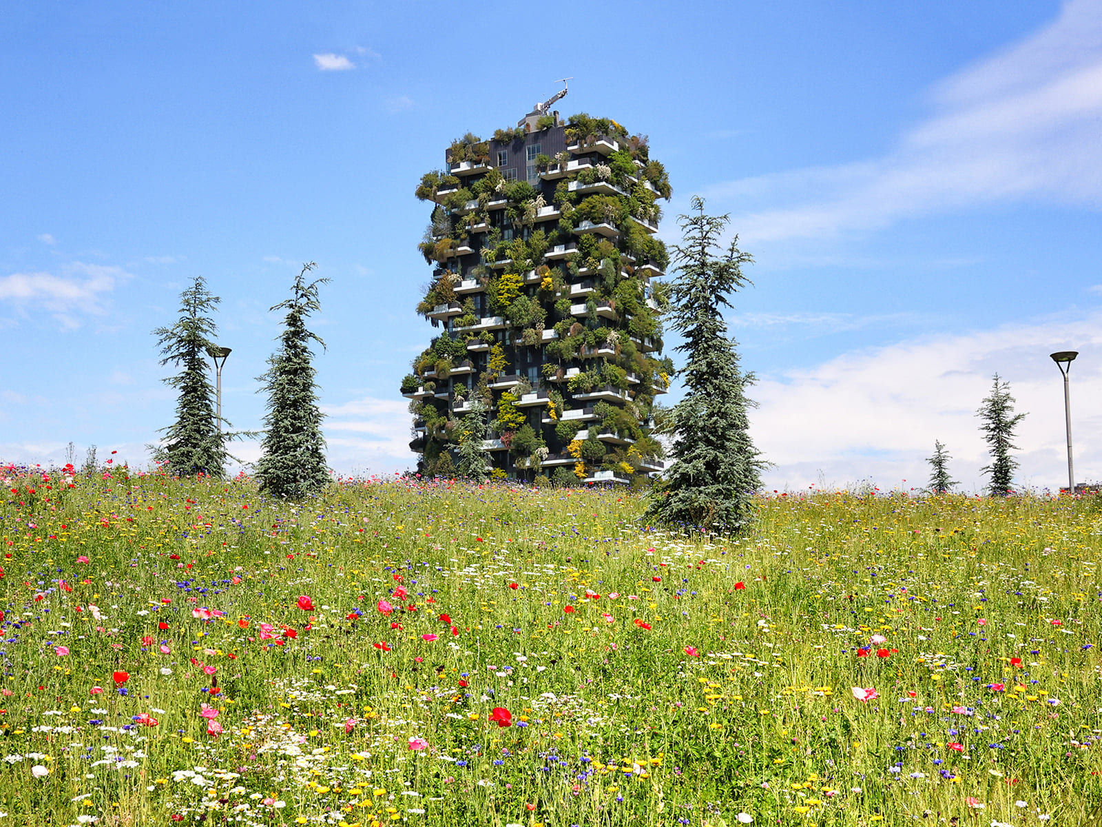 photo of BAM Workshop KIDS and Adults: Prato-à-porter!