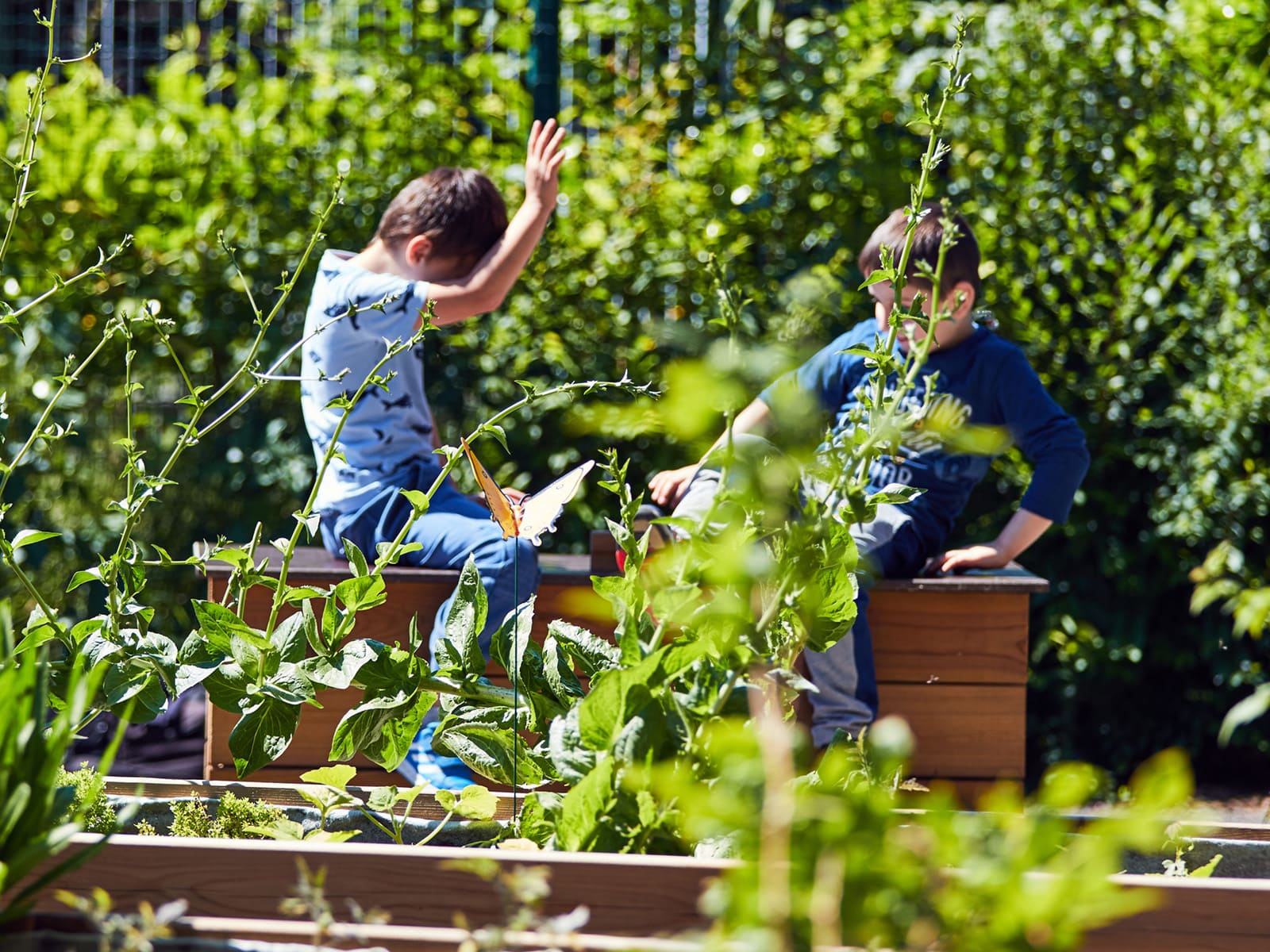 photo of BAM Workshop KIDS let’s cultivate together 2023