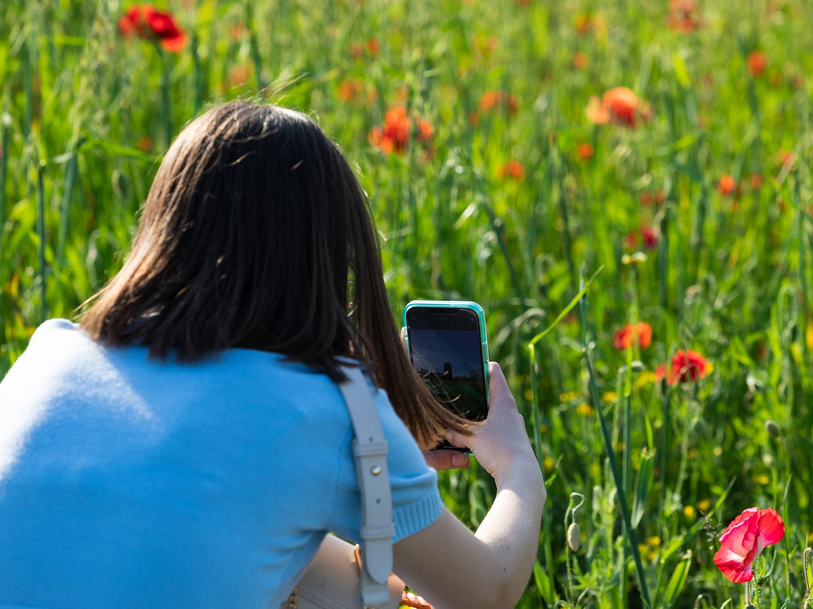 photo of Basic smartphone photography course