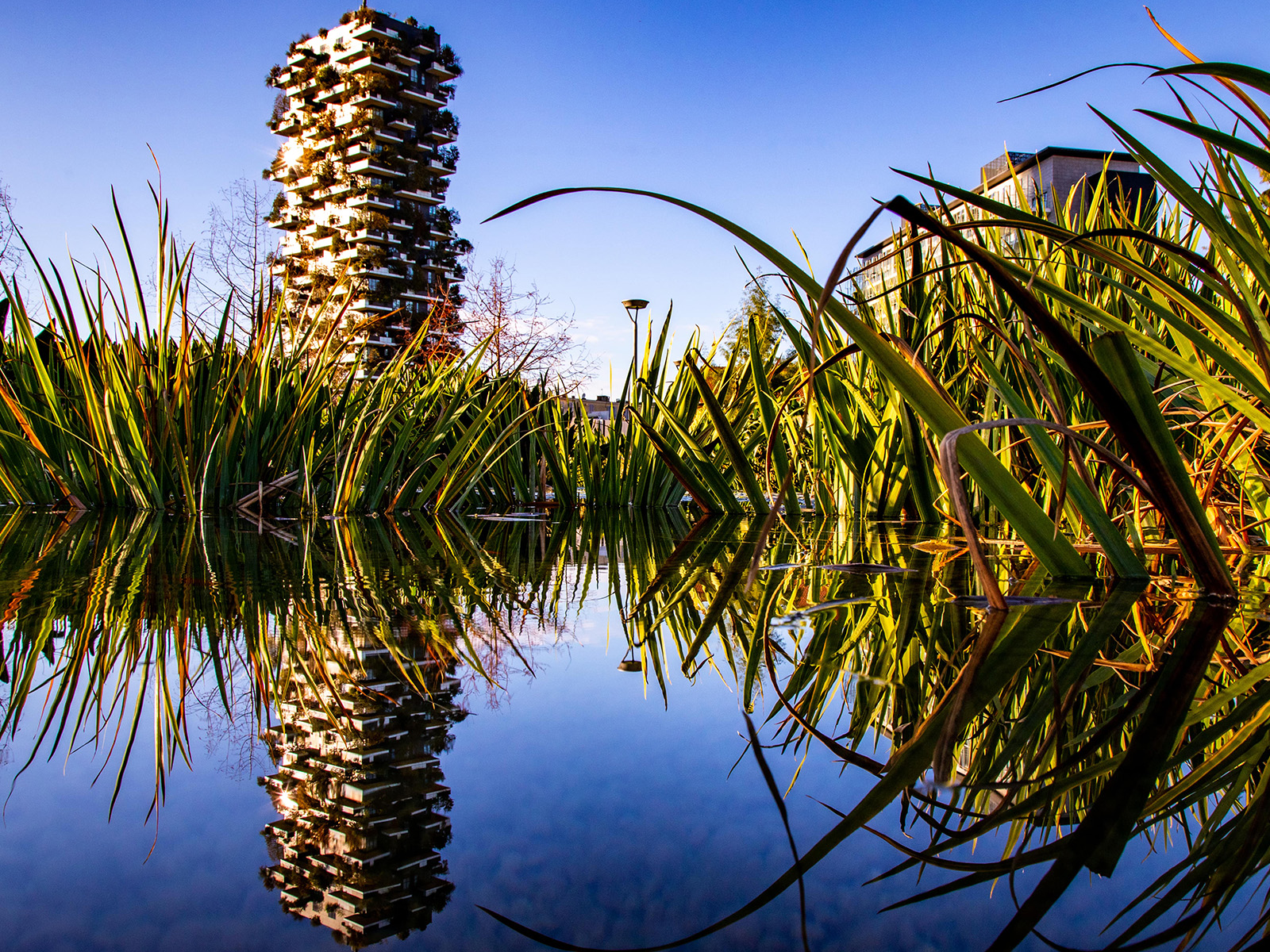 photo of Digital camera School – Corso di fotografia base