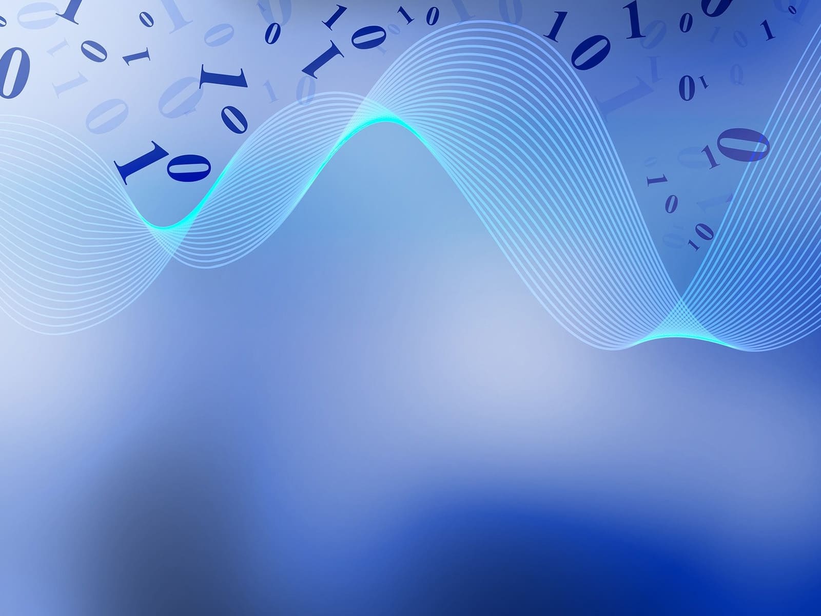 photo of Grow your business with Webidoo