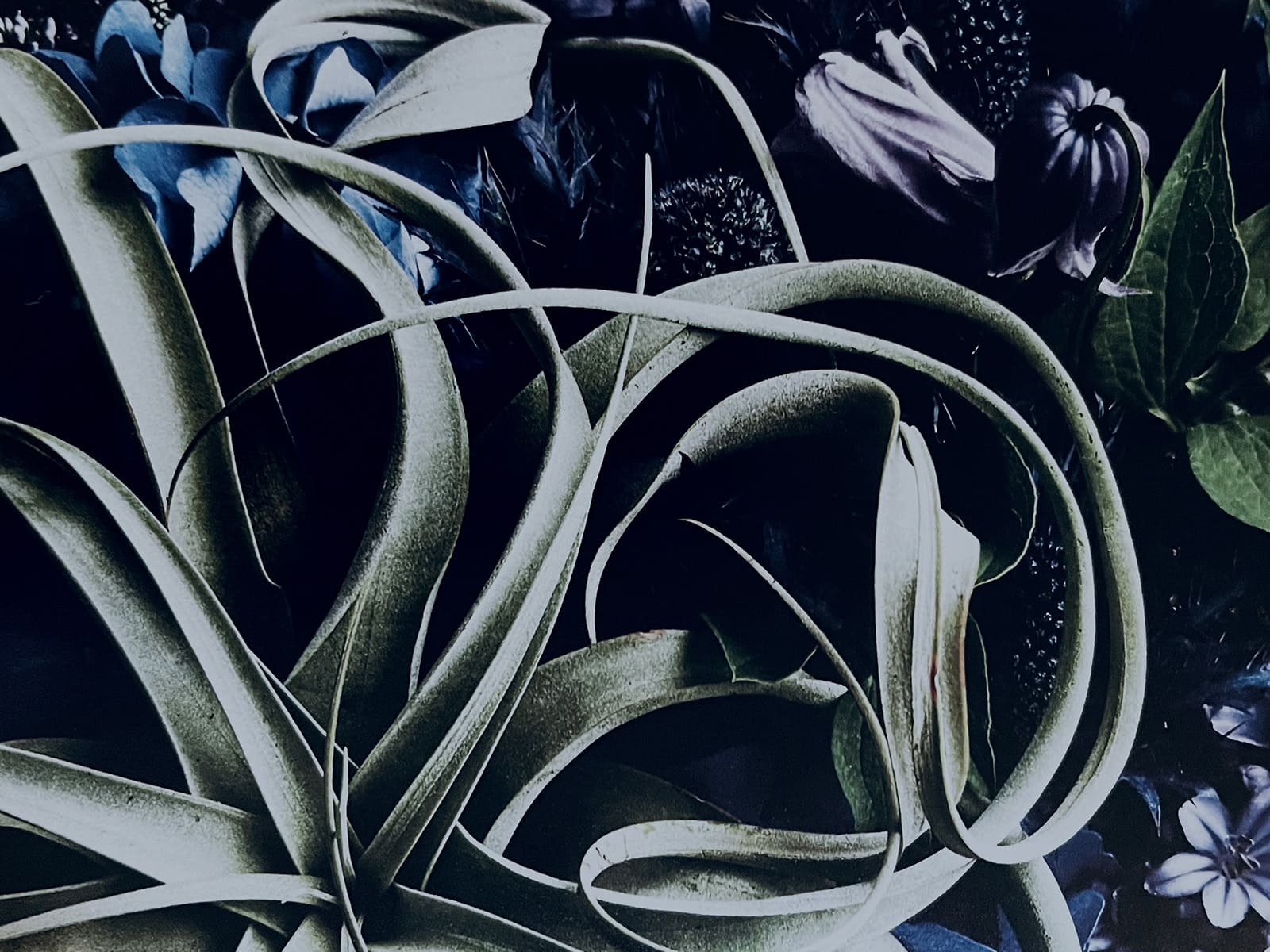 photo of SIX Garden Brunch