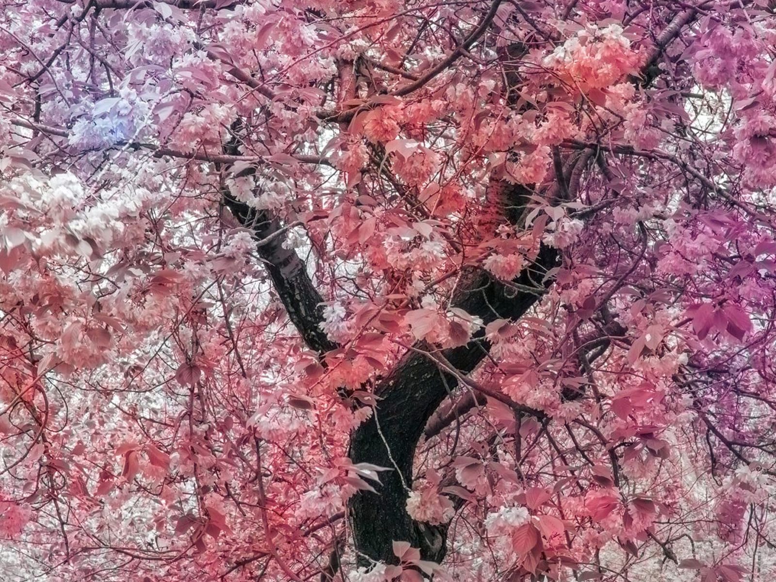 photo of Diachronic Visions – Trevor Paglen