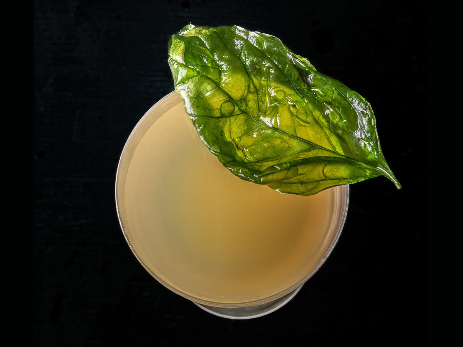 photo of Drink photography workshop