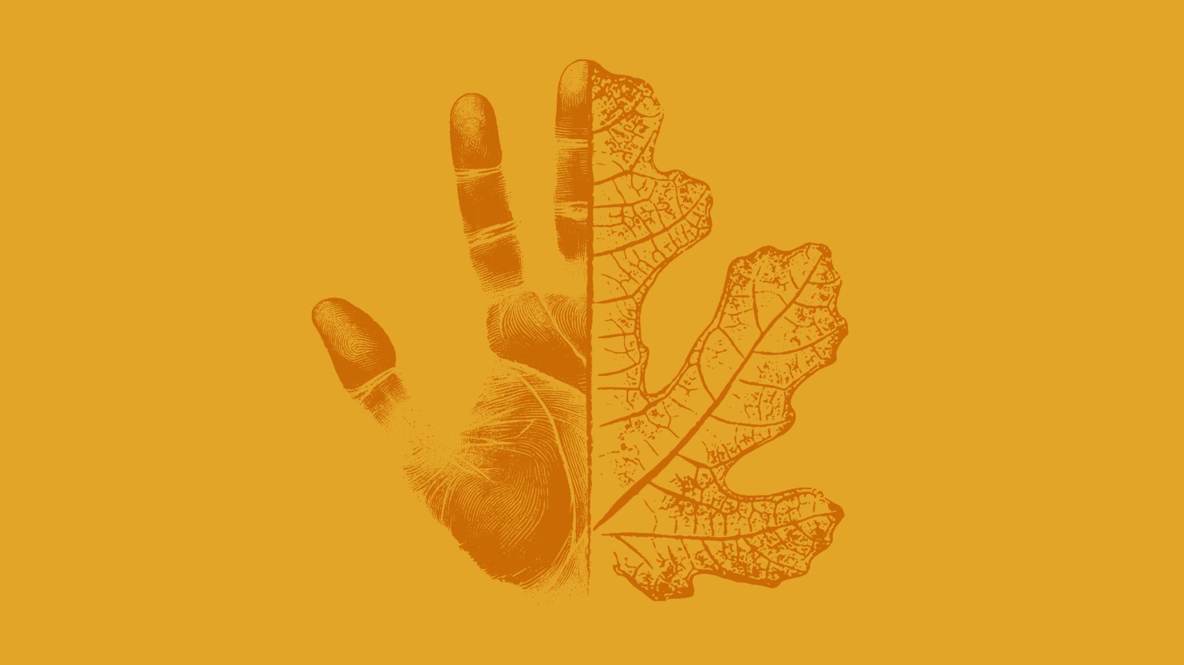 District Impact Report